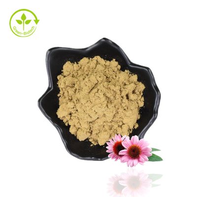 گیاه اکیناسه پورپوره عصاره 2% پودر اسید کاسنی