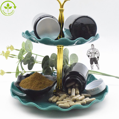 پودر عصاره طبیعی ارگانیک آجوگا ترکستانیکا 10% کپسول ترکسترون
