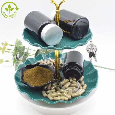 مکمل غذایی عصاره آجوگا ترکستانیکا 10% 20% پودر ترکسترون
