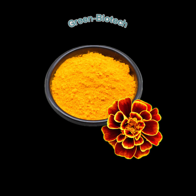 عصاره گل همیشه بهار 5%-20% پودر لوتئین سرویس OEM موجود است