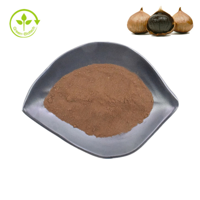 خرید عمده پودر عصاره سیر سیاه تخمیر شده خالص