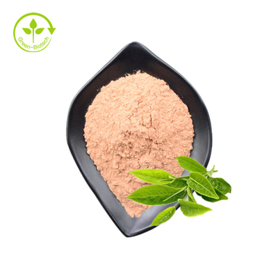 عصاره برگ چای سبز با درجه غذایی پلی فنول 98% کاتچین 80% تخم مرغ 60% پودر فله