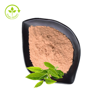 پودر خالص ارگانیک عصاره چای سبز 98% پلی فنول چای EGCG