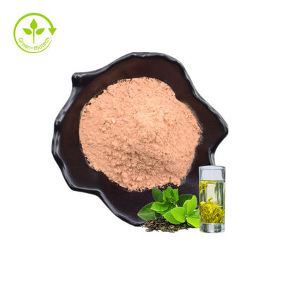 پودر فوری عصاره برگ گیاهی گیاهی عمده 60% سالم با کیفیت بالا