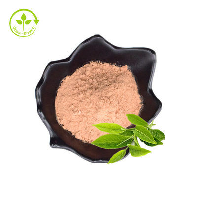 عمده فروشی عمده 98% عصاره چای سبز پودر پلی فنول چای سبز