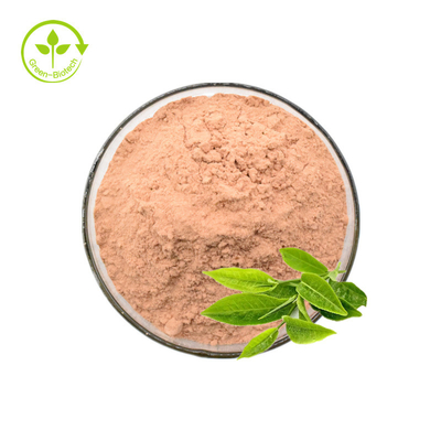 عصاره چای سبز پلی فنول 50% 98% پودر عصاره چای سبز