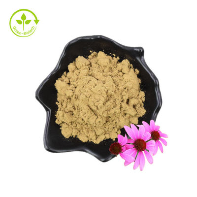 پودر فله طبیعی عصاره اکیناسه عصاره اکیناسه پورپوره