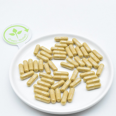 ریشه جینسینگ گیاه طبیعی استخراج پودر جینسینگ تازه و خشک