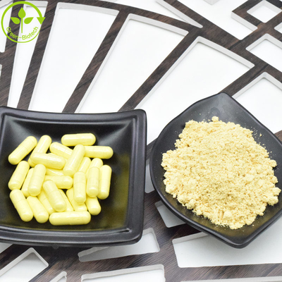 فروش داغ 100٪ عصاره گندم خالص طبیعت عصاره گیاهی Pinus Tabulaeformis پودر گندم