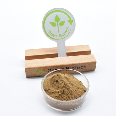 بهترین قیمت پودر نازک قهوه ای Dendrobium Nobile Lindl Extract
