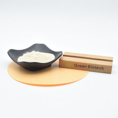 تولید کننده پودر 100٪ خالص عصاره سیر با کیفیت بالا