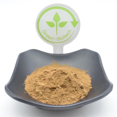 پودر عصاره گیاهی 750 میلی گرمی 1000 میلی گرمی Ajuga Turkestanica کاربردی