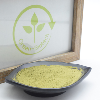 عصاره گیاه طبیعی MSDS پودر چای Uji Matcha را با طعم غنی Umami استخراج می کند