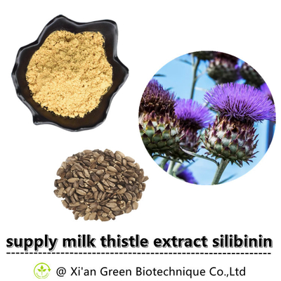 پودر عصاره گیاه خار شیر 80% سیلیمارین درجه غذایی