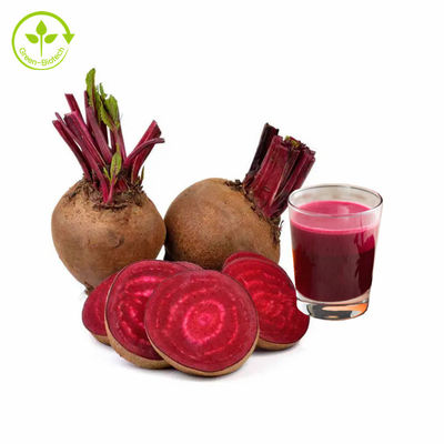 پودر عصاره ریشه چغندر چغندر پودر عصاره ریشه چغندر قرمز پودر آب چغندر