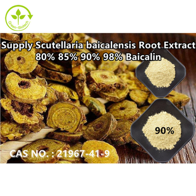 Green Biotech Supply با خلوص بالا عصاره بایکال جمجمه بایکالین 80% 85% 90% 98% CAS NO.:21967-41-9