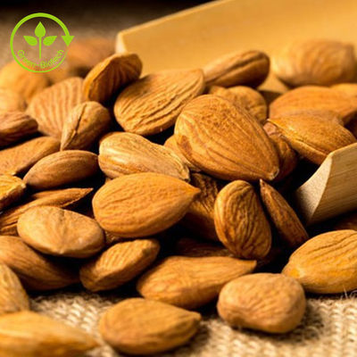 عصاره گیاهی طبیعی فله پودر شیر بادام خالص ارگانیک 99%