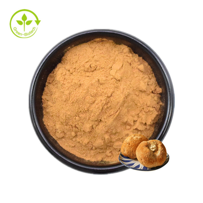 عصاره میسلیوم Lions Mane پودر قارچ Hericium Erinaceus 30%