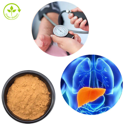 عصاره میسلیوم Lions Mane پودر قارچ Hericium Erinaceus 30%