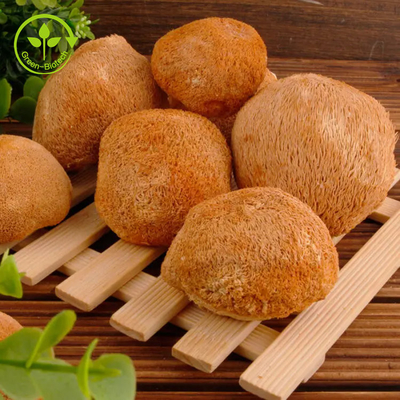 عصاره میسلیوم Lions Mane پودر قارچ Hericium Erinaceus 30%