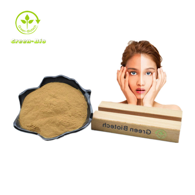 پودر عصاره گیاه برگ توت برگ توت 1٪ - 10٪ برای مراقبت سالم