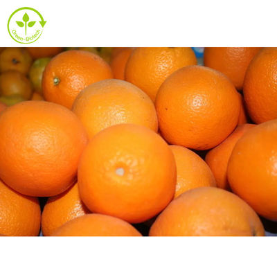 عصاره دیوسمین 98% پودر هسپریدین مرکبات درجه غذایی