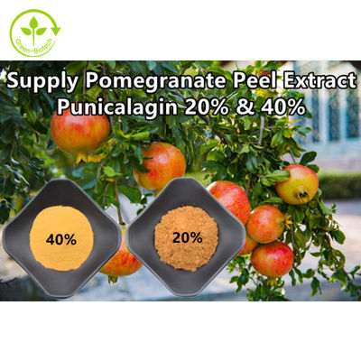 پودر عصاره طبیعی خالص انار Punicalagin CAS 65995-63-3