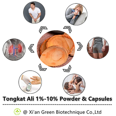کپسول ارگانیک Eurycoma Longifolia عصاره ریشه Tongkat Ali از انرژی استقامت پشتیبانی می کند