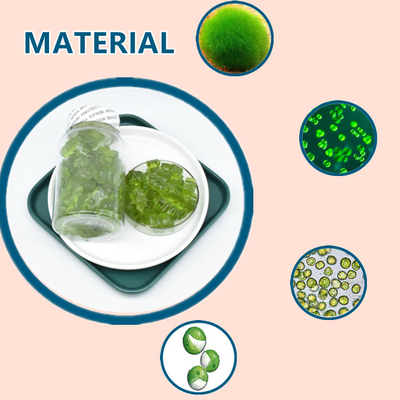 مکمل غذایی عصاره گیاهی خام Sea Moss Gummies