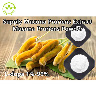 گیاه Mucuna Pruriens Extract 98% 99% L-Dopa Powder