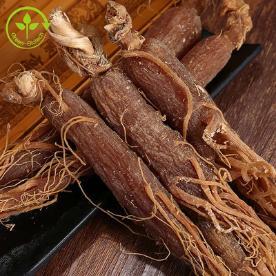 پودر عصاره ریشه جینسنگ قرمز کره ای درجه مواد غذایی طبیعی