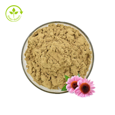 گیاه اکیناسه پورپوره عصاره 2% پودر اسید کاسنی