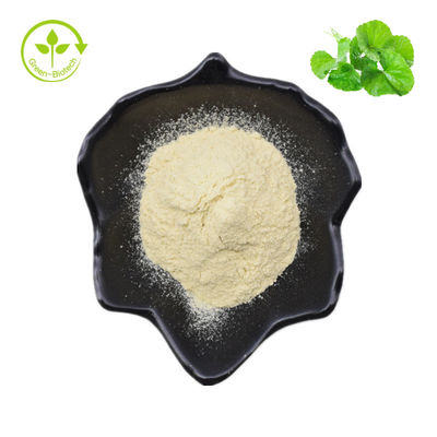 Hydrocotyle Asiatica / Centella Asiatica / عصاره گوتو کولا 70% پودر آسیاتیکوزید