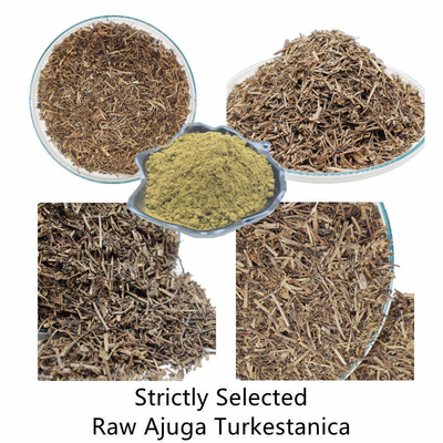 پودر عصاره گیاهی Ajuga Turkestanica پودر ترکسترون 2% 10% 20%