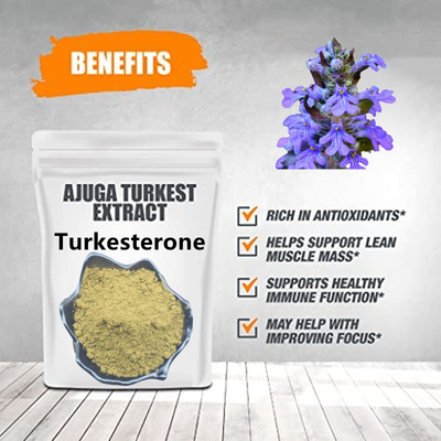 پودر عصاره گیاهی Ajuga Turkestanica پودر ترکسترون 2% 10% 20%