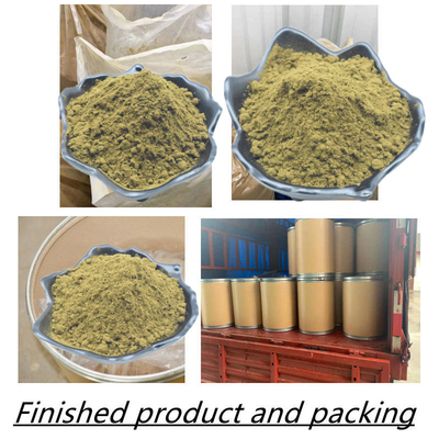 پودر عصاره گیاهی Ajuga Turkestanica پودر ترکسترون 2% 10% 20%