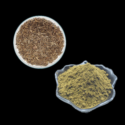 عصاره خالص آجوگا ترکستانیکا 2% 10% پودر ترکسترون استفاده برای بدنسازی