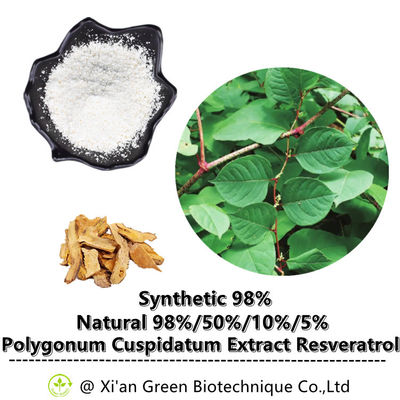 99% پودر ترانس رسوراترول Polygonum Cuspidatum Root Extract