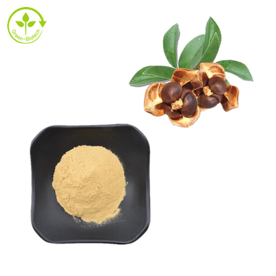 CAS 8047-15-2 عصاره گیاهی طبیعی 80% پودر ساپونین دانه چای