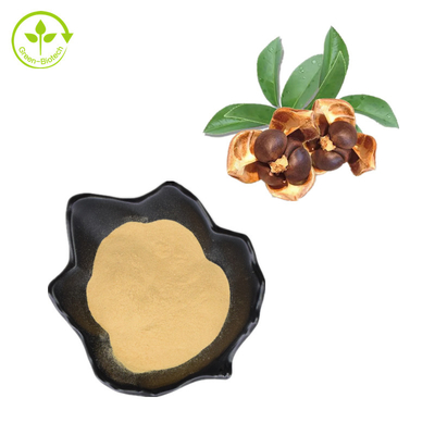 CAS 8047-15-2 عصاره گیاهی طبیعی 80% پودر ساپونین دانه چای