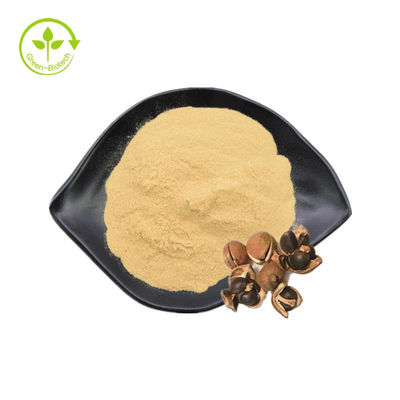 عصاره دانه چای پودر ساپونین طبیعی 90% برای لوازم آرایشی