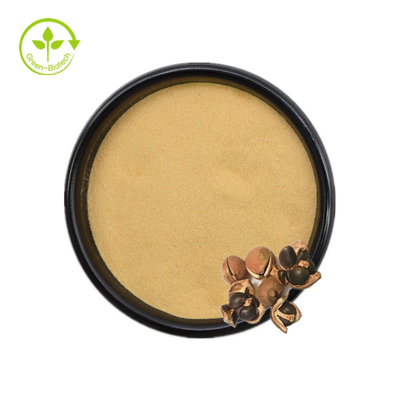 پودر چای ساپونین عصاره دانه کاملیا سیننسیس 50% 60% 70% 80% 85% 90% 95% 98%