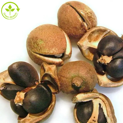 پودر چای ساپونین عصاره دانه کاملیا سیننسیس 50% 60% 70% 80% 85% 90% 95% 98%