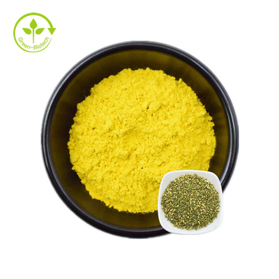 عصاره Food Grade Sophora Japonica 95% پودر کوئرستین خالص
