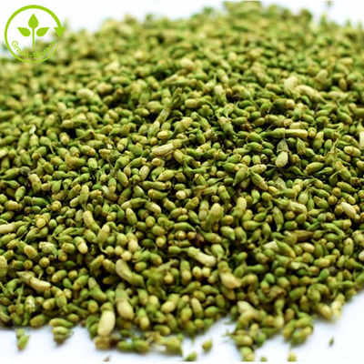 عصاره Food Grade Sophora Japonica 95% پودر کوئرستین خالص