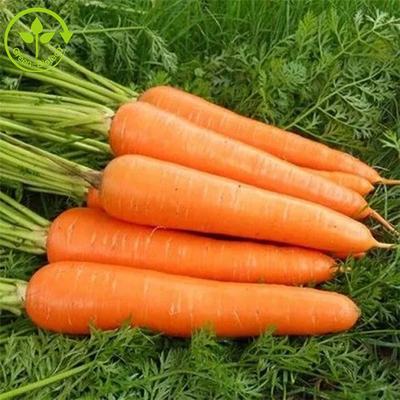 افزودنی های مواد غذایی رنگ آمیزی فرمنت بتاکاروتن پودر 10%