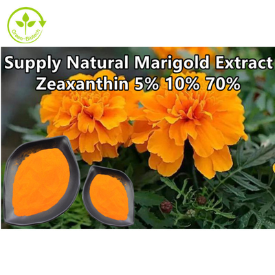 عصاره گیاه طبیعی گل همیشه بهار از پودر زیگزانتین 10%