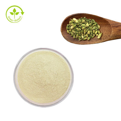 کارخانه تامین عصاره روتین سوفورا ژاپنیکا 95% پودر روتین عصاره سوفورا ژاپنیکا