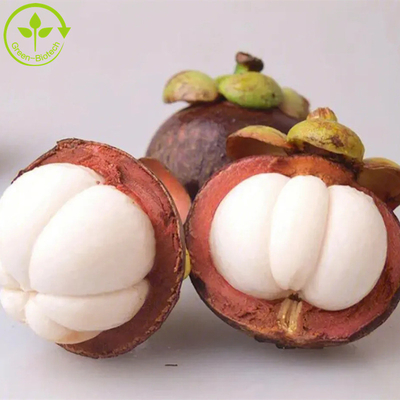 عصاره طبیعی ترنجبین منگوستین p.e-alpha-mangostin 10-90% پودر عصاره آلفا منگوستین