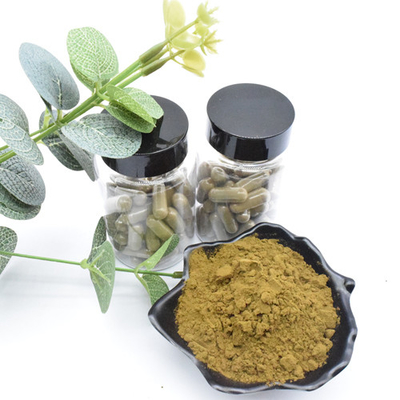 عصاره گیاهی Ajuga Turkestanica عصاره پودر ترکسترون